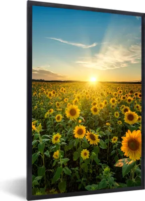 Produktbild von MuchoWow® Gerahmtes Poster Sonnenuntergang - Blumen - Sonnenblume - Horizont - Landschaft 60x90 cm - Poster mit Schwarzem Bilderrahmen Wandposter Rahmen Foto Bilder - Kunst