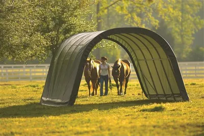 Obrázek produktu pro ShelterLogic Fóliový stan pro pastviny Garážový stan s výběhem zelený 610x370x250 cm