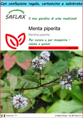 Immagine prodotto di SAFLAX Set regalo - Menta piperita - 300 semi - Mentha
