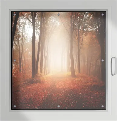 Produktbild von Wallario Lichtschutzbild, Dekorativer Sichtschutz Sonnenschutz 96 x 93 cm mit Motiv: Herbstwald - Weg zu einer Lichtung im Wald - Verdunklung ohne Bohren
