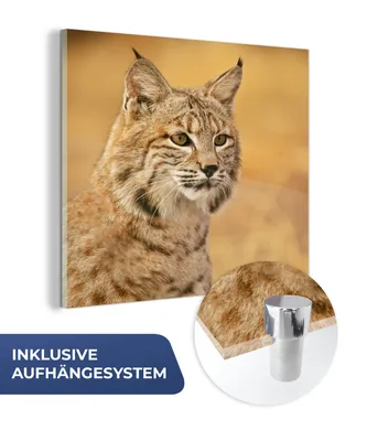 Obrázok produktu pre MuchoWow® Sklenené obrazy - Obrazy na stenu - Foto na skle Rys - hnedý - tráva 50x50cm Nástenná dekorácia zo skla - akrylový sklenený obraz - akrylové obrazy