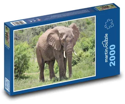 Obrázek produktu pro Puzzle 2000 Slon na safari - martinpuzzle