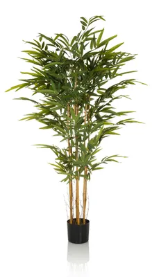 Produktbild von hjh OFFICE Kunstpflanze BAMBUS II Künstliche Pflanze Bambus Höhe 150.0 cm Deko