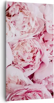 Produktbild von Bild auf Leinwand - Leinwandbild - Einteilig - Blumenstrauß Blumen Rosa - 65x120cm - Wand Bild - Wanddeko - Wandbilder - Leinwanddruck - Bilder - Wanddekoration - Leinwand bilder - PA65x120-5001