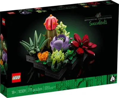 Produktbild von Lego 10309 Botanical Collection Succulents 18+ Yearbeschädigt