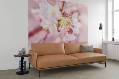 Produktbild von Vlies Fototapete - Pink Blossom - Größe 248 x 184 cm