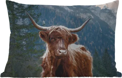 Produktbild von MuchoWow® Outdoor Kissen - Schottisches Hochlandrind - Wald - Höhle - 60x40 cm - Wetterfest - Lounge Kissen - Zierkissen - Kissen für Innenräume