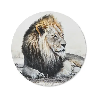 Produktbild von MuchoWow® Mauspad Mousepad Tiere - Porträt - Farbe 40x40 cm - Mousepads - Maus Mat - Pad - Mausunterlage - Schreibtisch Accessoires