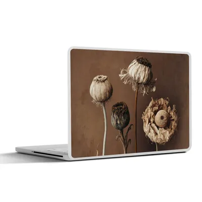 Produktbild von MuchoWow® Laptop Aufkleber Sticker Cover Blumen - Pflanzen - Trockenblumen - Braun 36.5x27.5 cm - Laptop-Sticker