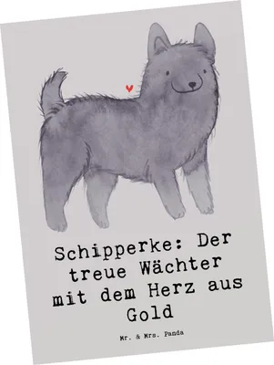 Produktbild von Mr. & Mrs. Panda Postkarte Schipperke Wächterherz - Grau Pastell - Geschenk, liebevoller Begleiter, bildkarte, Hunderassen, Hunderasse, treuer, Ansichtskarten, Grußkarte