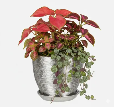 Produktbild von Mattsilberner Keramikblumentopf Mit Gravur, Durchmesser 13 Cm, Höhe 11 Cm