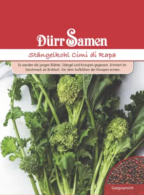 Artikelbild 1 von 'Stängelkohl Cimi di Rapa' aus der Kategorie Gemüsesamen