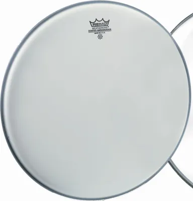 Imagen del producto de Remo BA-0106-00 Ambassador, modelo "blána"