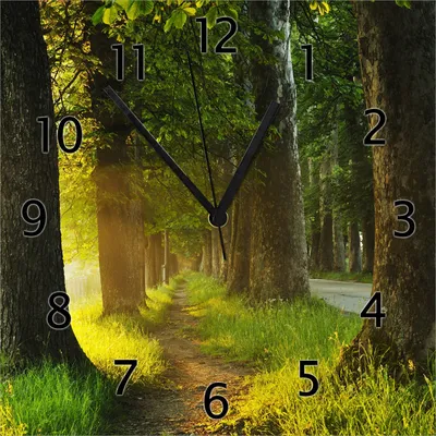 Produktbild von Wallario Design Wanduhr Allee bei Sonnenuntergang aus Echtglas, Größe 30 x 30 cm