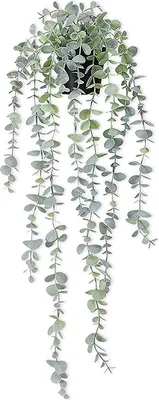 Produktbild von Set mit 1 künstlichen Pflanzen zum Aufhängen, künstliche Hängepflanzen, künstliche künstliche Efeu-Pflanzen im Topf für den Hausgarten, Wanddekoration,Eukalyptus hängt grau