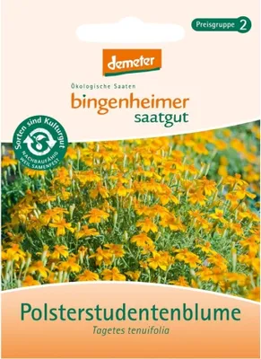 Image de Tagète des champs - Tagetes tenuifolia