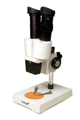 Immagine prodotto di Levenhuk - 35322 - Microscopio 2ST