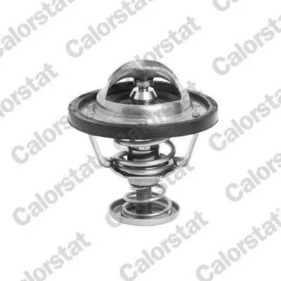 Produktbild von CALORSTAT by Vernet Thermostat, Kühlmittel x TH6295.88J