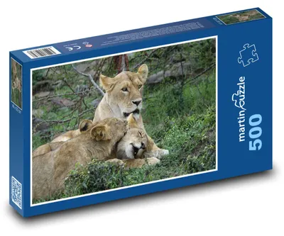 Obrázok produktu pre Puzzle 500 Levy na safari v Keni - martinpuzzle