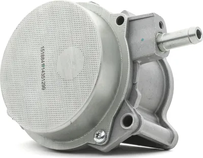 Produktbild von RIDEX 387V0029 Vakuumpumpe Unterdruckpumpe für VW GOLF VI (5K1) Bremsanlage