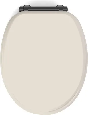 Produktbild von WC-Sitz Fallbremse Design