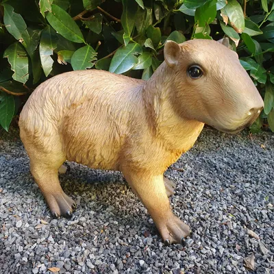 Immagine prodotto di Statua da giardino capibara in piedi, 22 cm