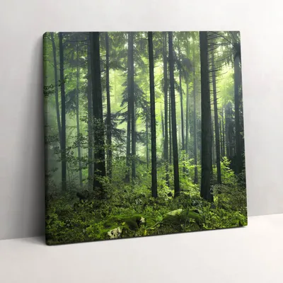 Produktbild von Landscape of trees and forest vegetation – Leinwandbild Wandbild – 60x60 cm – Leinwandbilder – Wandbilder – Schlafzimmer – Flur