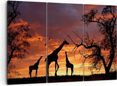 Produktbild von Bild auf Leinwand - Leinwandbild - Giraffe Afrika Sonne Safari - 105x70cm - Wand Bild - Wanddeko - Leinwanddruck - Bilder - Kunstdruck - Wanddekoration - Leinwand bilder - Wandkunst - CE105x70-0507