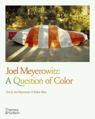 Produktbild von Joel Meyerowitz