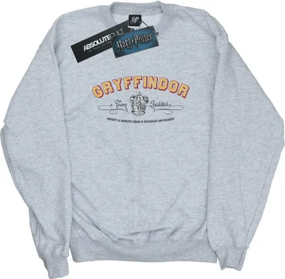 Produktbild von Harry Potter - "Gryffindor Quidditch" Sweatshirt für Herren BI27070 (S) (Grau)