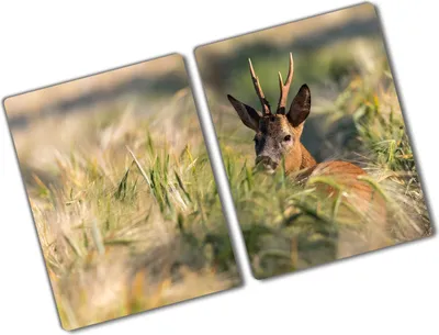 Produktbild von Tulup Glas Herdabdeckplatte - 2x40x52 cm - Glaskeramikkochfeld-Abdeckung Spritzschutz Glasabdeckplatte Kochplattenabdeckung und Schneidebrett - Zweiteilig - Tiere - Hirsch Feld - Braun