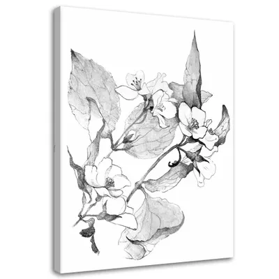 Produktbild von Leinwandbild blühende zweige 40x60 cm Feeby grau wandbild bereit zum aufhängen