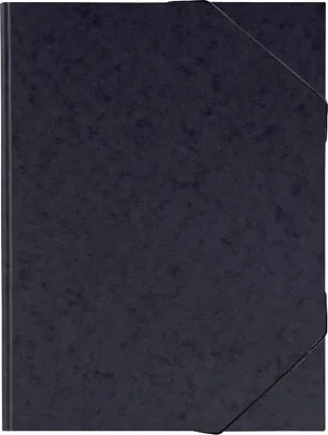 Produktbild von Sammelmappe  Fact!plus A3 Karton schwarz Packung mit 10 Stück