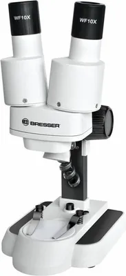A white stereo microscope with black accents and eyepieces.