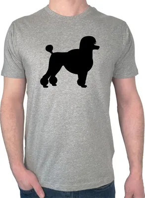Produktbild von Huuraa Herren T-Shirt Pudel Silhouette XXL Sport Grey Bio Baumwolle Fairtrade Herrenshirt Geschenkidee