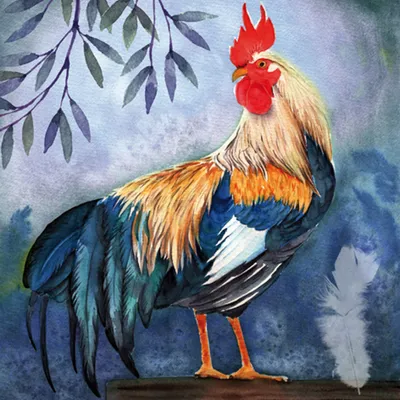 Produktbild von Servietten Papier 33x33cm 3-lagig Hahn Motiv 20 Stück Blau / Bunt