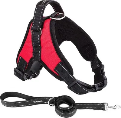 Image de Harnais moyen pour chien - Gilet de sécurité respirant