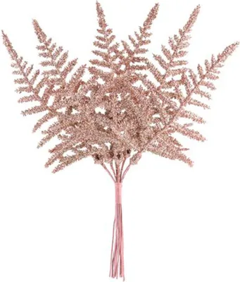 Produktbild von Weihnachtszweig, Farn, Roségold 19 cm