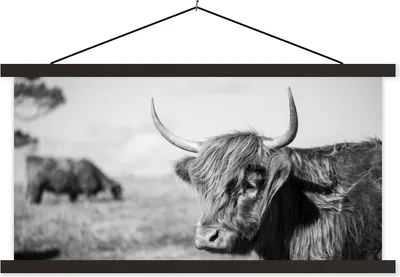 Produktbild von MuchoWow® Textilposter Schottisches Hochlandrind - Tiere - Schwarz - Weiß 90x45 cm mit schwarzem Rahmen - Klemmleisten