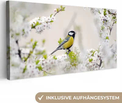 Produktbild von MuchoWow® - Leinwandbilder - Vogel - Kohlmeise - Blumen - Blütenbaum, Wandbild, Wanddeko Bilder Wohnzimmer, 80x40 cm