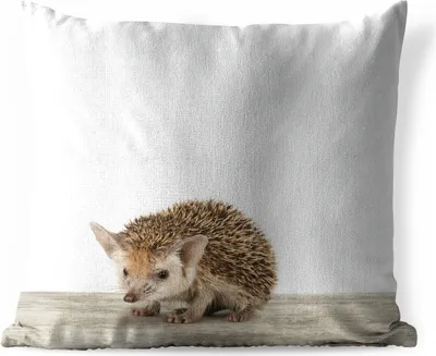 Produktbild von MuchoWow® Outdoor Kissen - Igel - Tiere - Jungen - Mädchen - 40x40 cm - Wetterfest - Lounge Kissen - Kopfkissen - Interieur - Polster mit Bild