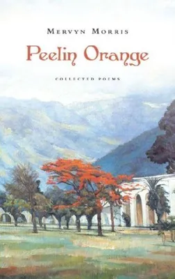 Produktbild von Peelin Orange