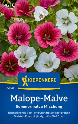 Artikelbild 2 von 'Malope-Malve Sommermalve Mischung' aus der Kategorie Malvensamen
