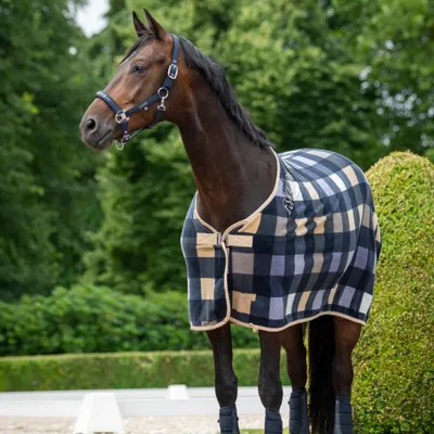 Produktbild von Eskadron Classic Sports 26 Sparkle Double Pin Halfter, Größe:Pony, Farbe:navy