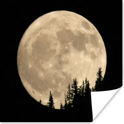 Produktbild von MuchoWow® Poster Mond - Bäume - Schwarz 160x120 cm - Foto Plakat