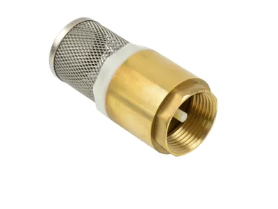 Image de GEKO Panier d'aspiration avec clapet de retour 1" G01026A