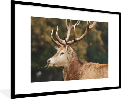 Produktbild von MuchoWow® MuchoWow® Gerahmtes Poster Hirsche - Geweihe - Wald 90x60 cm - Poster mit zchwarzem Bilderrahmen - Wanddekoration - Fotos
