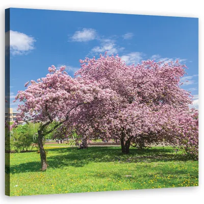 Produktbild von Leinwandbild landschaften - rosa 30x30 cm Feeby rosa wandbild bereit zum aufhängen