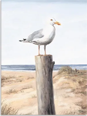 Produktbild von ARTland Wandbild Alu für Innen & Outdoor Möwe Größe: 30x40 cm