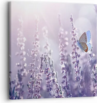 Produktbild von Bild auf Leinwand - Leinwandbild - Schmetterling Wiese Blume - 40x40cm - Wand Bild - Wanddeko - Leinwanddruck - Bilder - Kunstdruck - Wanddekoration - Leinwand bilder - Wandkunst - AC40x40-4014